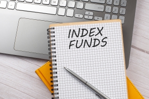 What is Index Fund